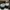 Nike Casual Casual shoe Pria white black photo 5