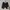 DOHC Streetwear Boxer Pria black photo 1