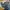 Stone Island Casual Short Pria multicolor photo 1