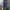 Nike Streetwear Y2K Sneakers Pria purple blue photo 4