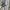 Streetwear Boxer Pria gray photo 2