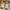 Adidas Streetwear Casual Sneakers Pria multicolor black photo 5
