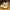 Adidas Streetwear Casual Sneakers Pria multicolor black photo 3