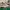 Adidas Streetwear Casual Sneakers Pria Multicolor Black
