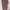 Luxury Muslim Baju muslim Wanita pink photo 2