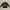 Feltics Outerwear Kids green photo 2