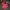 Feltics Outerwear Kids green photo 7