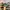 Adidas Streetwear Casual Sneakers Pria green pink photo 8
