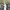 Minimalist Muslim Maxi dress Wanita cream photo 2