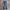 GAP Streetwear Casual Jeans Pria multicolor photo 1