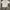 Spao Streetwear T-shirt Pria multicolor photo 2