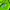 Nike Sportswear Jersey Pria green photo 6