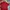 Casual Crop top Wanita red photo 2