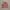 Armani	 Outerwear Kids pink photo 3
