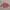 Armani	 Outerwear Kids Pink