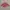 Armani	 Outerwear Kids pink photo 1