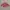 Armani	 Outerwear Kids Pink