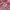 Armani	 Outerwear Kids pink photo 8