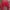 H&M Casual Crop top Wanita red photo 1