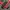 Outerwear Kids black red photo 4