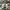 Valentino Streetwear Sportswear Sneakers Pria white black photo 2