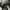 Valentino Streetwear Sportswear Sneakers Pria white black photo 6