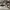 Valentino Streetwear Sportswear Sneakers Pria white black photo 3