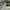 Valentino Streetwear Sportswear Sneakers Pria white black photo 1