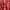 Jack Wolfskin Outerwear Kids red photo 5