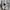 Karl Kani Y2K Brief Pria white photo 4