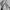 Karl Kani Y2K Brief Pria white photo 3