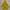 Jack Wolfskin Outerwear Kids yellow photo 2