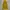 Jack Wolfskin Outerwear Kids yellow photo 3