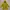 Jack Wolfskin Outerwear Kids yellow photo 1