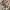 Pancoat Windbreaker Kids white photo 5