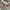 Pancoat Windbreaker Kids white photo 8