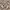 Pancoat Windbreaker Kids white photo 6