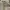 Pancoat Windbreaker Kids white photo 7