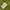 Eider Outerwear Kids green photo 8
