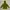 Eider Outerwear Kids green photo 3