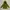 Eider Outerwear Kids Green
