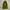 Eider Outerwear Kids Green