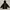 Pancoat Outerwear Kids black photo 1