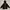 Pancoat Outerwear Kids Black