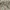 Pancoat Outerwear Kids multicolor photo 7