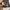 Louis Vuitton Luxury Casual Bags & purse Wanita brown photo 4