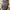 Louis Vuitton Luxury Casual Bags & purse Wanita brown photo 3