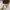 Louis Vuitton Luxury Casual Bags & Purse Wanita Brown