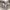 WHO.A.U Vintage Casual Sweater Pria gray photo 6