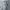 Vintage Casual Sweater Pria gray photo 2